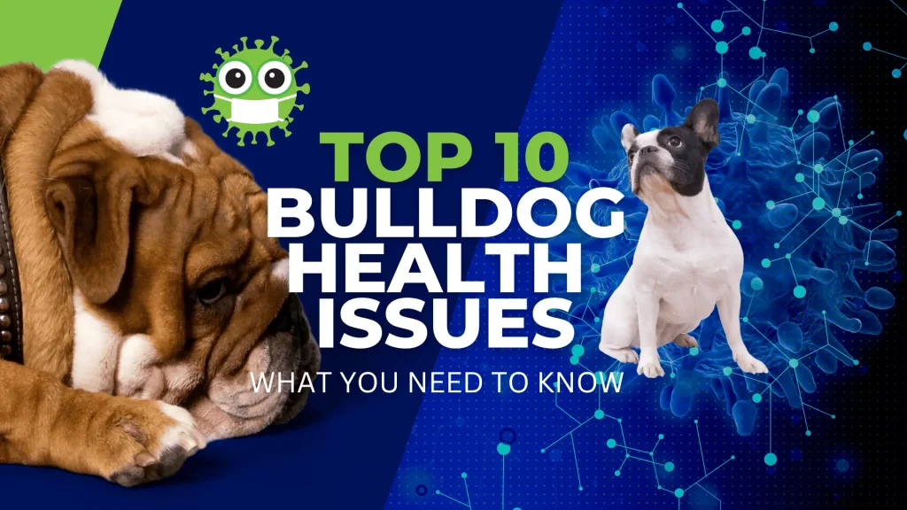 English bulldog, Health Issues, Need to Know, Bulldog health