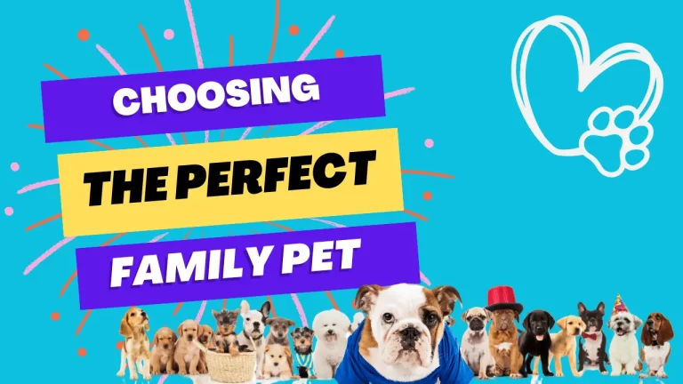 Is an English Bulldog a Good Family Dog? – Understanding the Pros and Cons