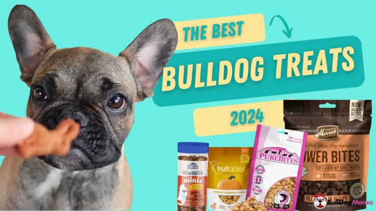 Top 7 Bulldog Treats for 2024: Delicious and Healthy Options