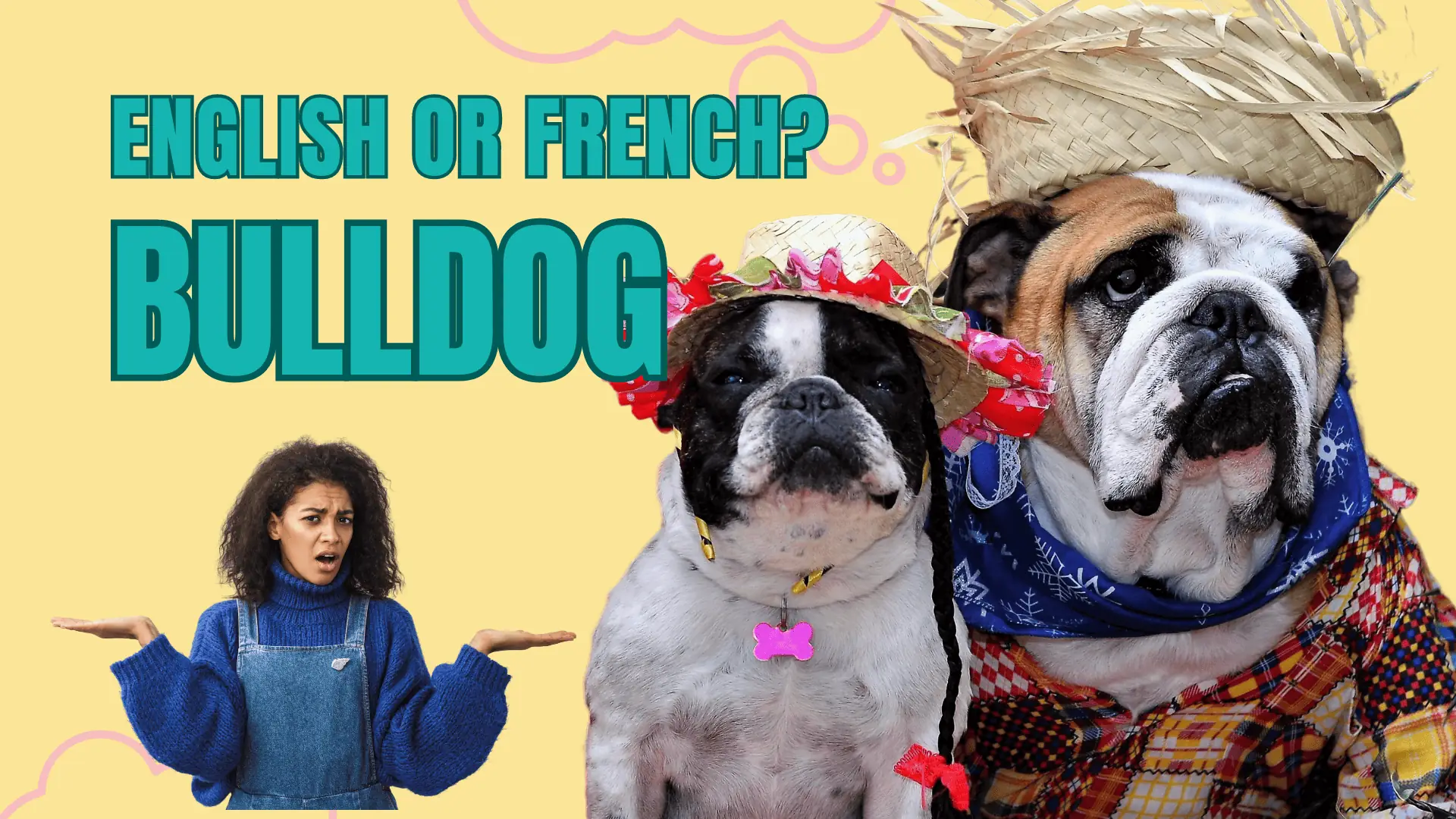 What is the Difference Between French and English Bulldogs? Unraveling ...