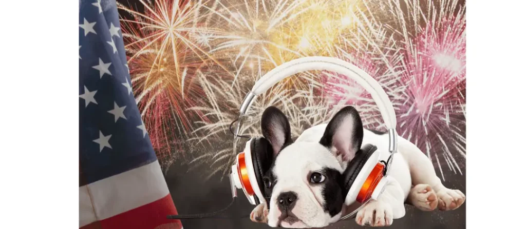 Bulldog, french bulldog, fireworks, scared dog