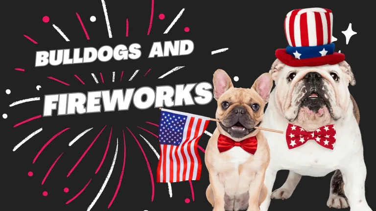 Bulldogs and Fireworks: Understanding Their Fear and Ensuring a Stress-Free Experience
